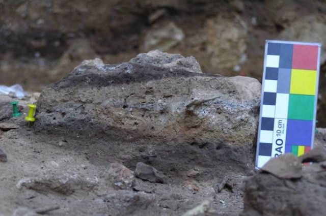 neanderthal diet – GeoArchaeo Research